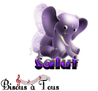Salut éléphant 